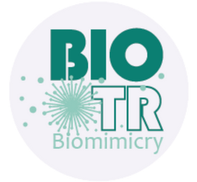 Biotr.ORG | Biomimicry Türkiye