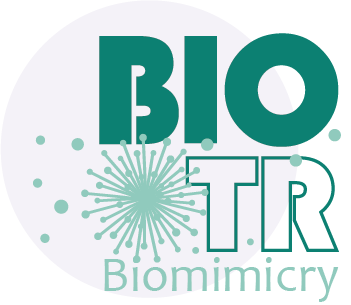 Biotr.ORG | Biomimicry Türkiye